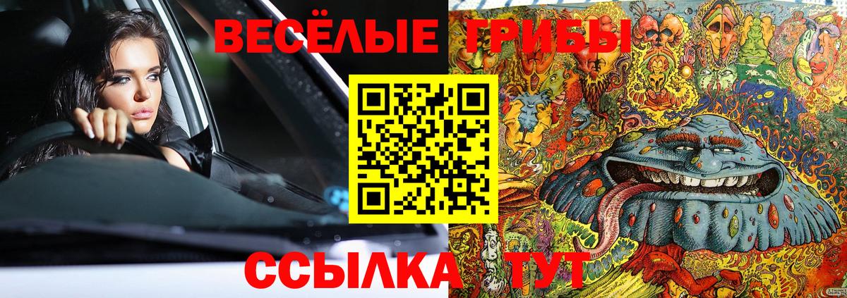 Псилоцибиновые грибы мицелий  Вход с VPN  Владикавказ 
